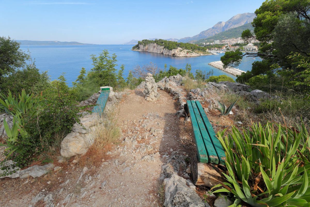 Ozren-Miocevic-Osejava-008