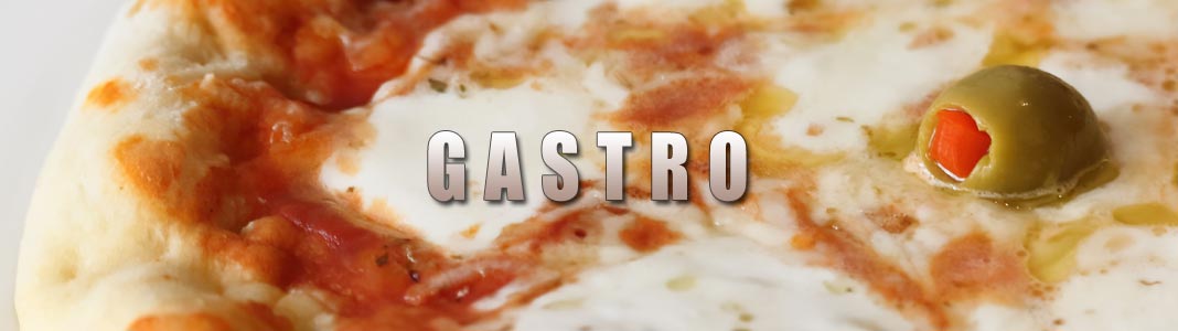 BANNER-GASTRO