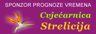 01-strelicija-prognoza