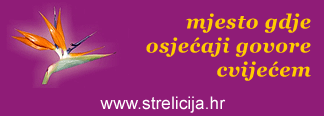 02-strelicija-prognoza