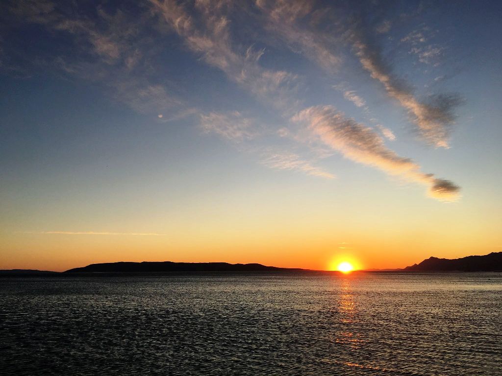 95468605_646470432568838_5204171560000159744_n