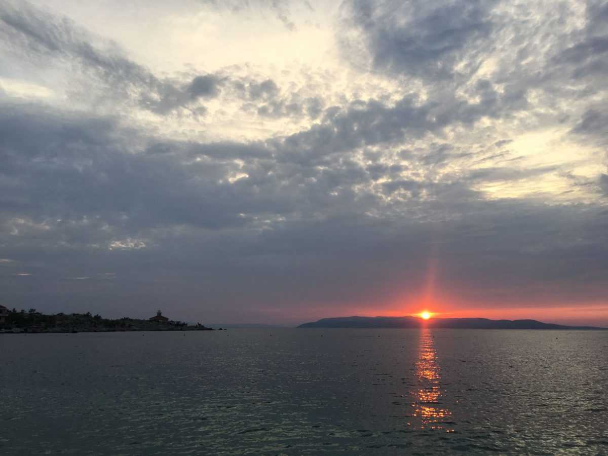 119514666_327981835135012_35189969154747278_n