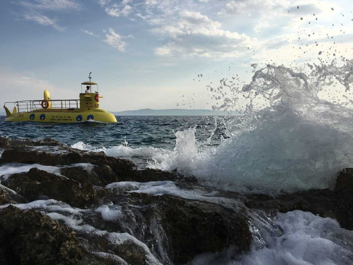 119631824_331999991242542_7841144808186814839_n