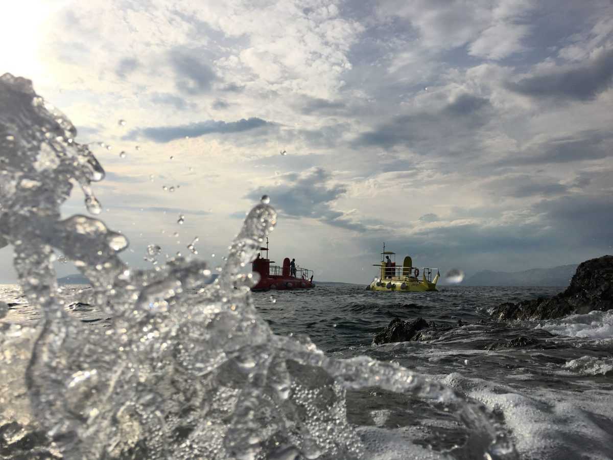 119650536_321386652298584_3041235537871853649_n