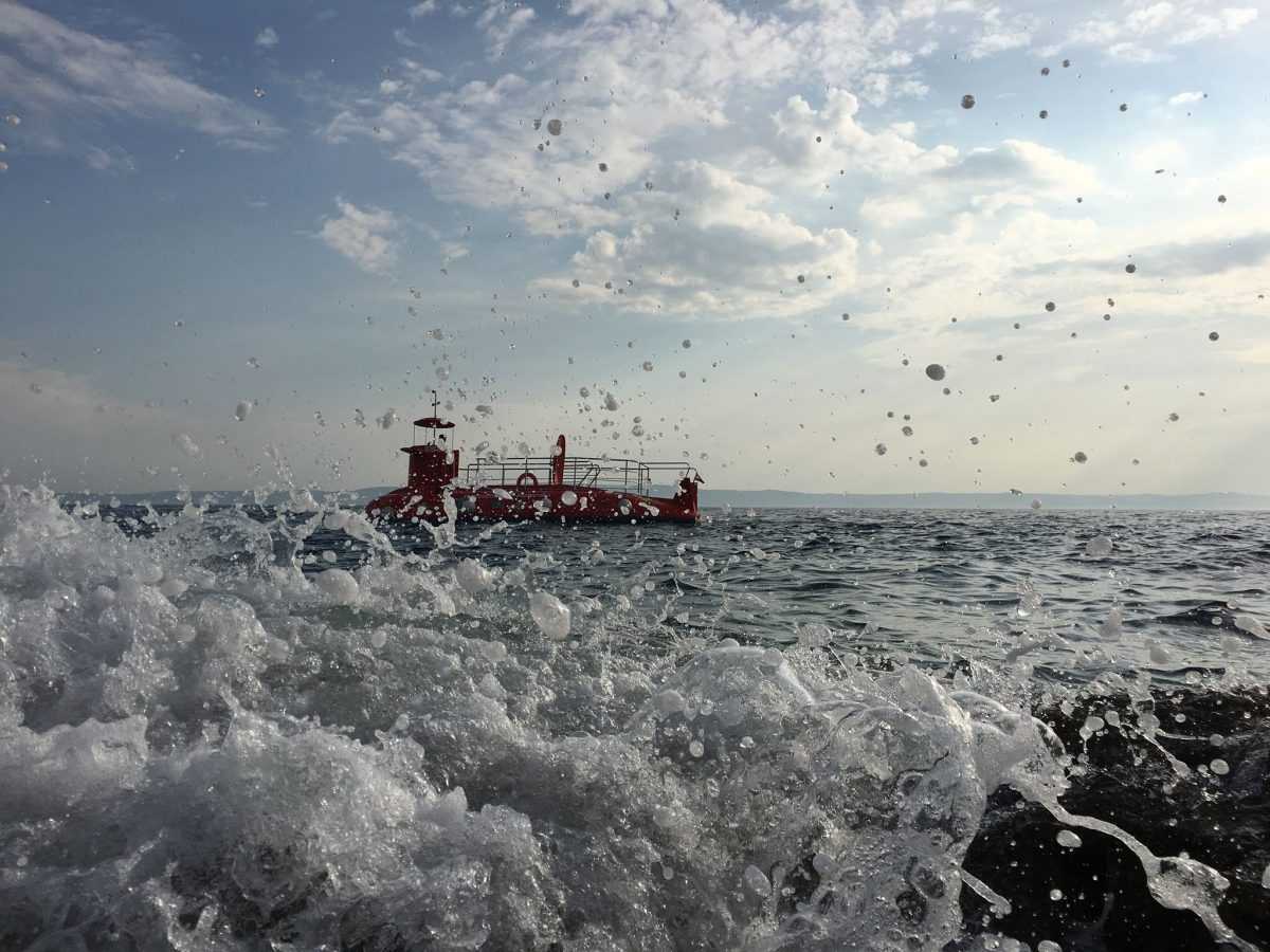 119650820_321543362504897_9204656068796863588_n