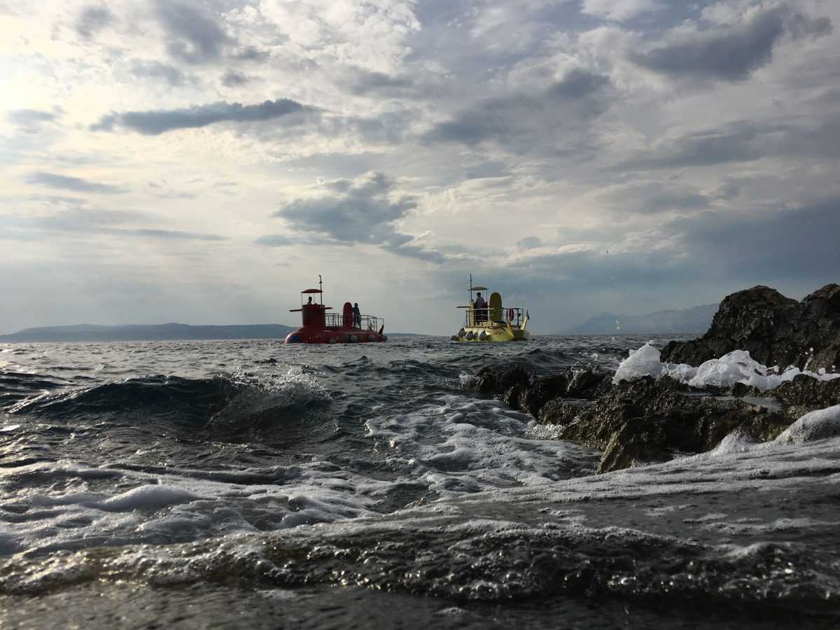 119662102_1446357512240768_5066025581721064436_n