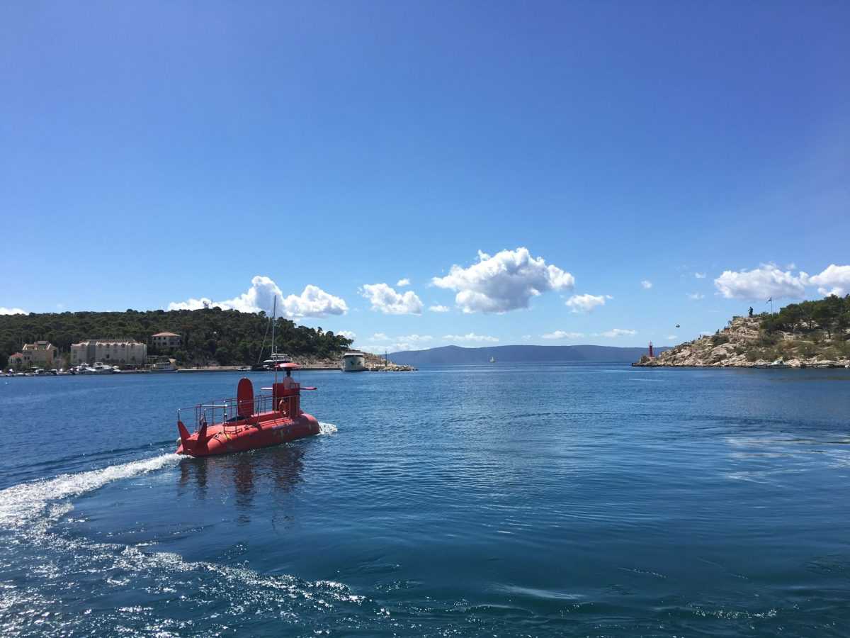 119700969_336372497611076_2310808197451897636_n