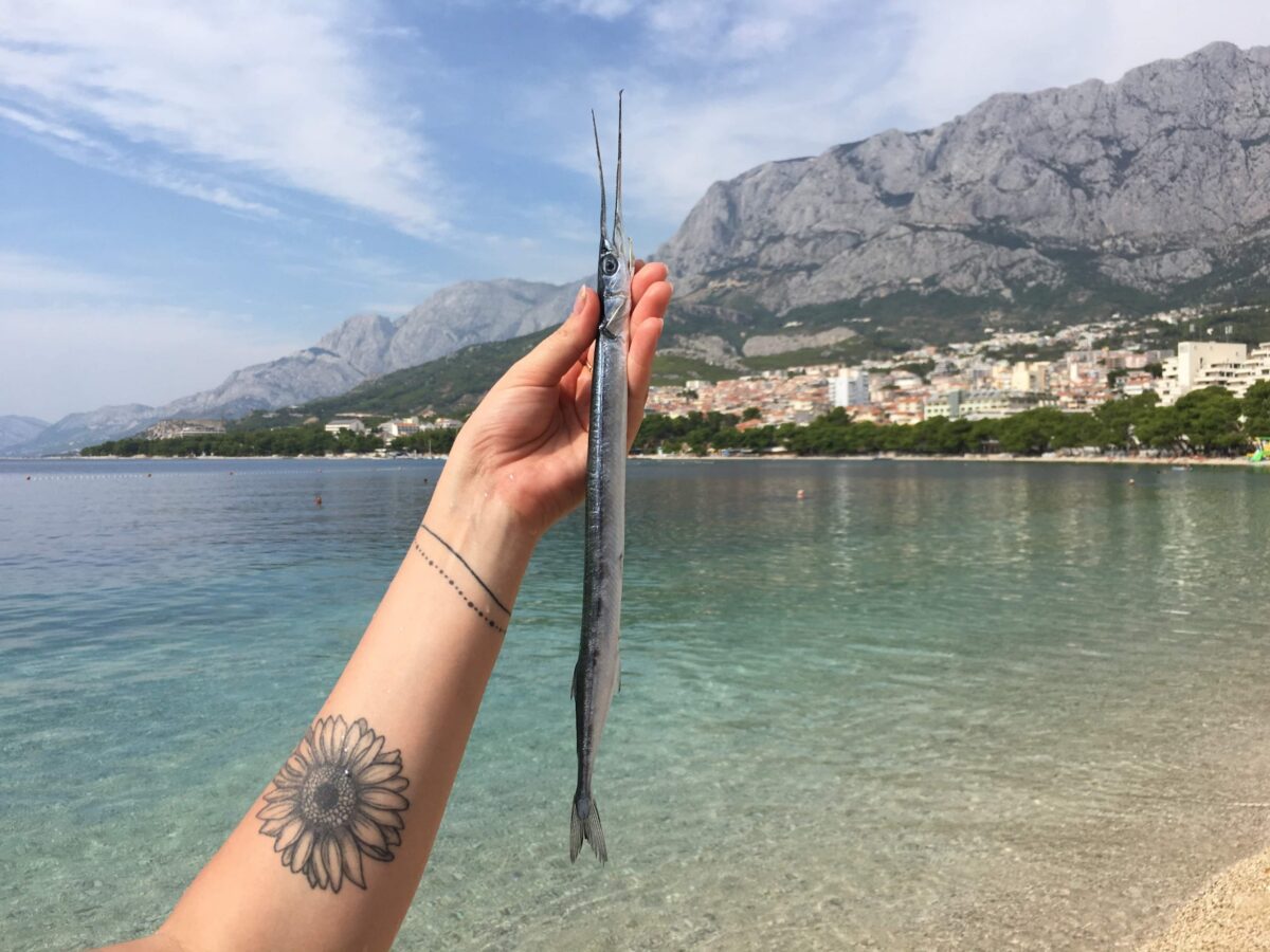 received_375599236794817