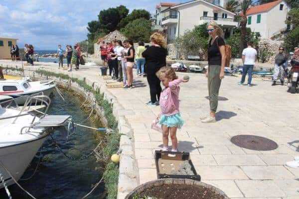 FB_IMG_1603301788416