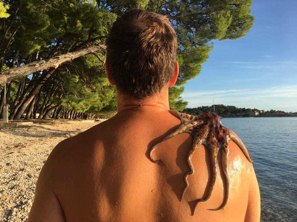 received_1282305172119785