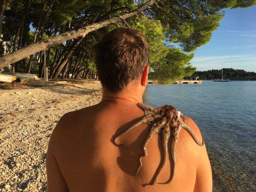 received_331452991493254