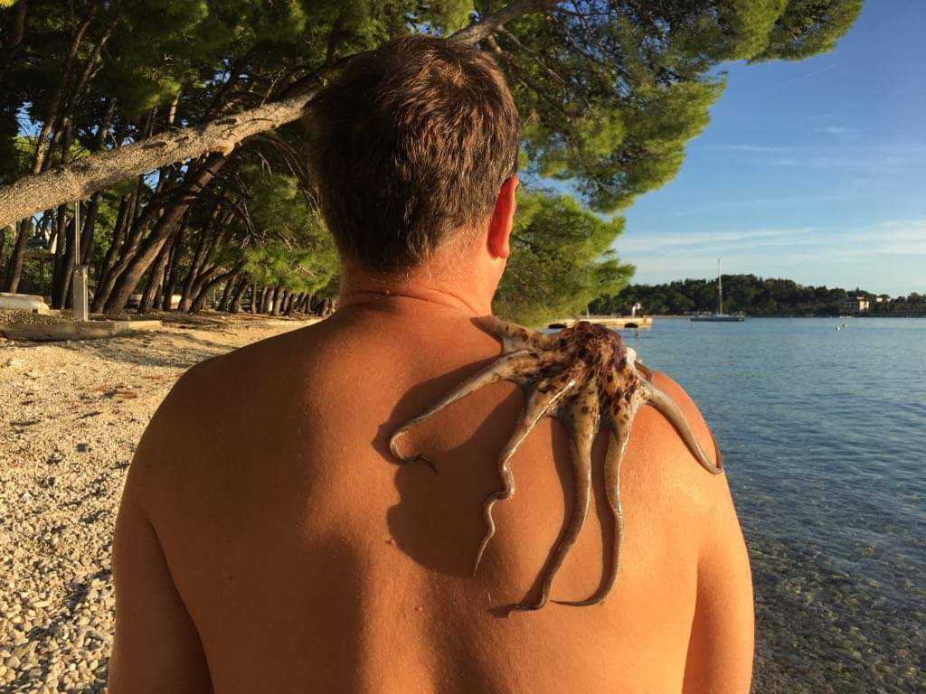 received_341456947122830