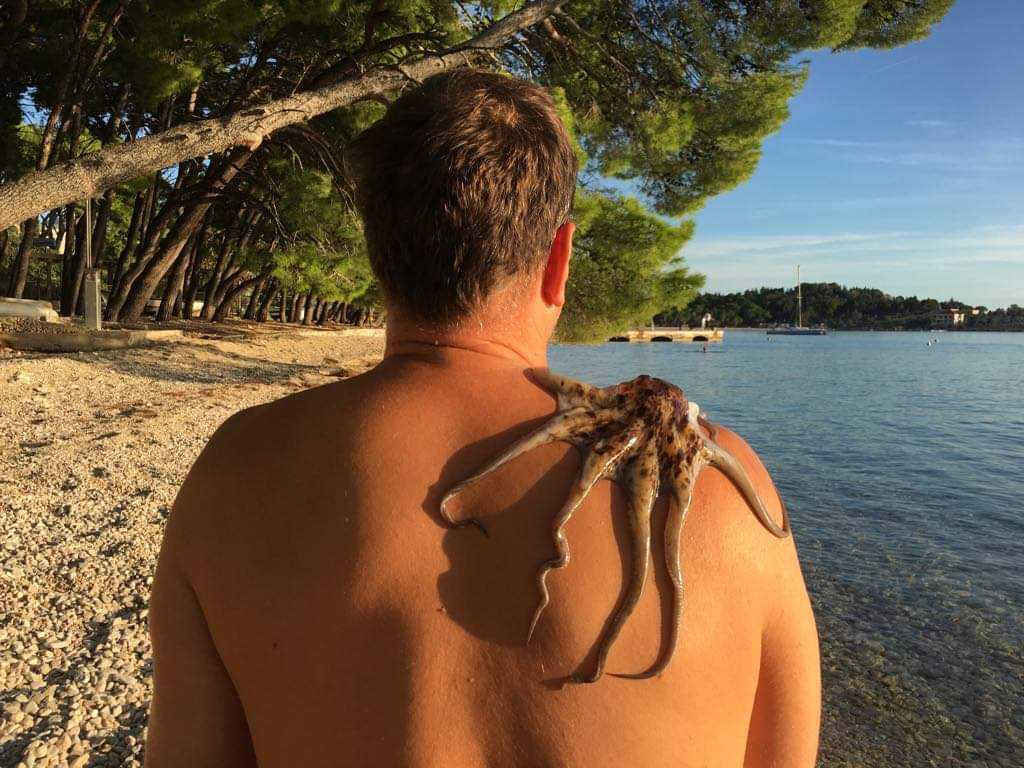 received_344093876866929