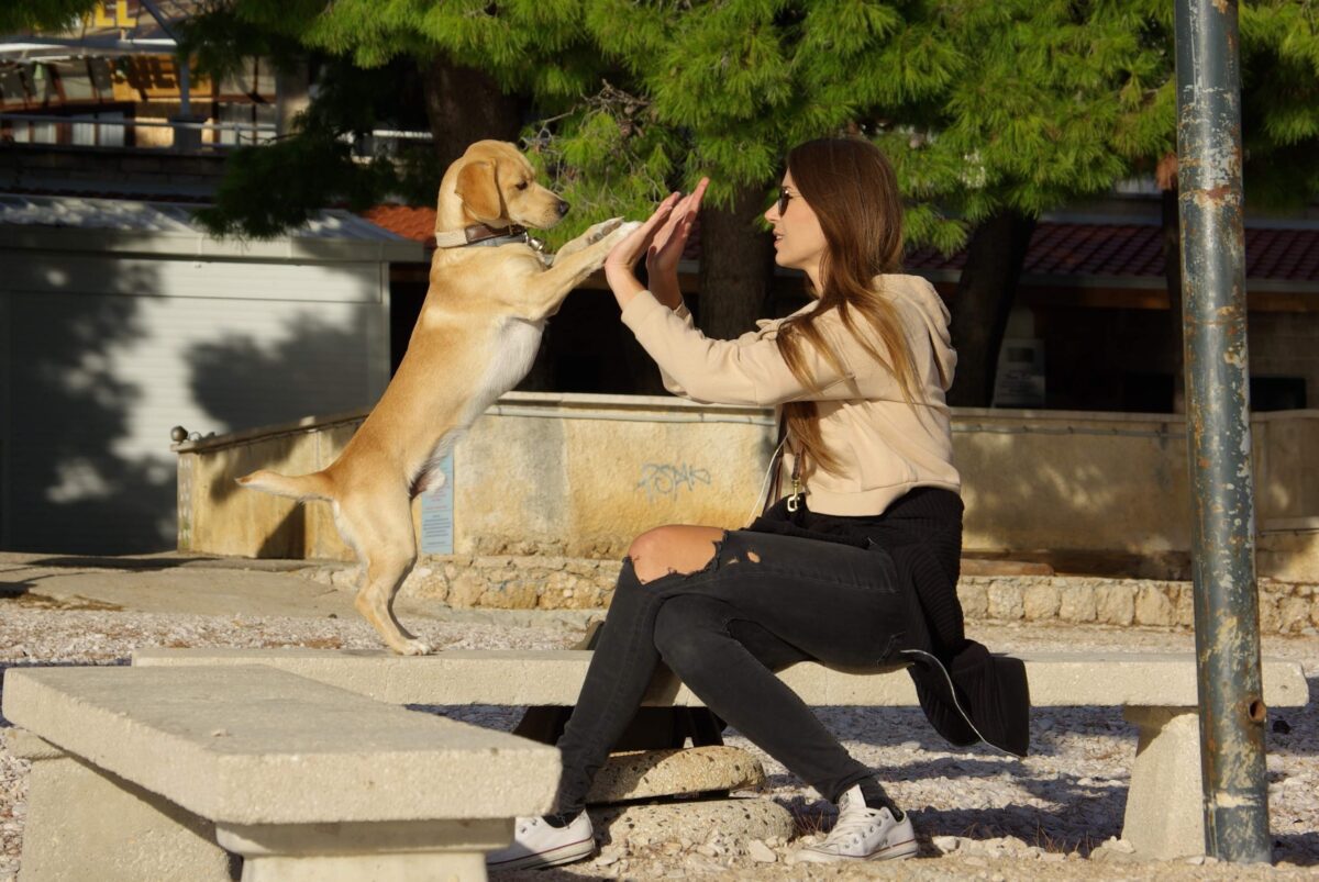 received_368514044301530