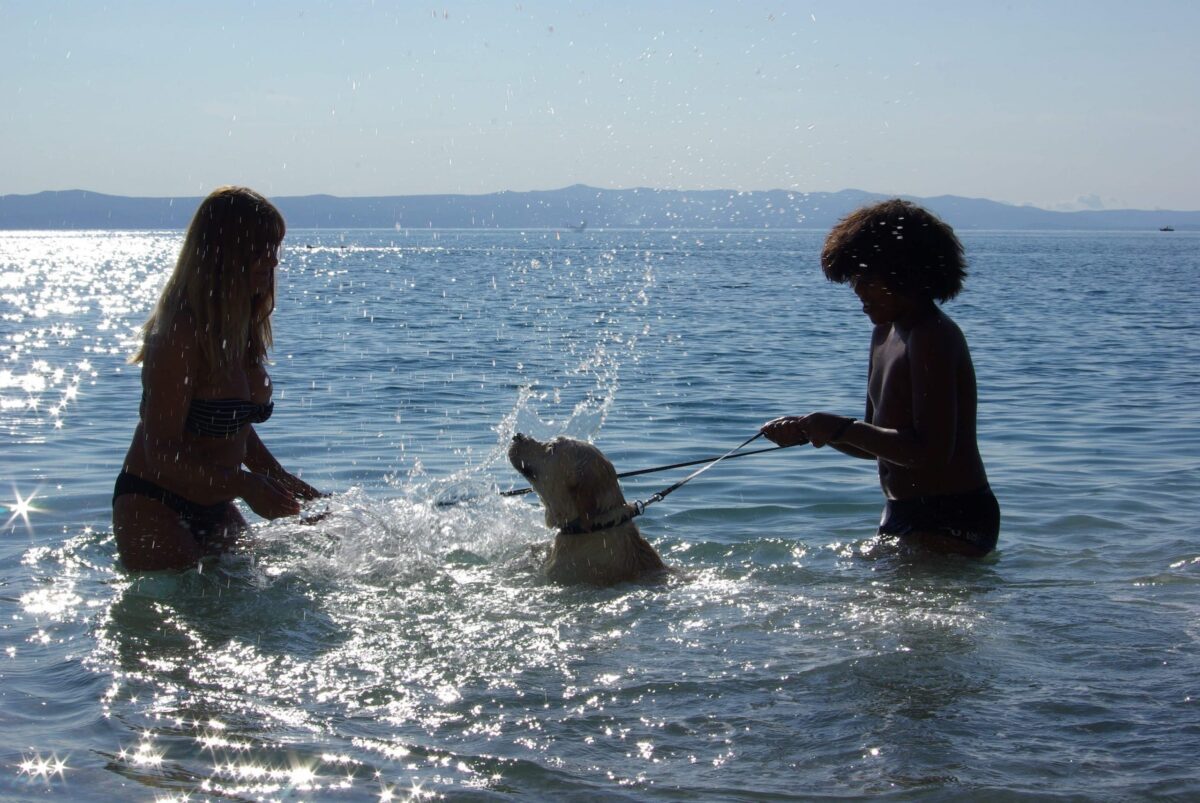 received_369738070889653