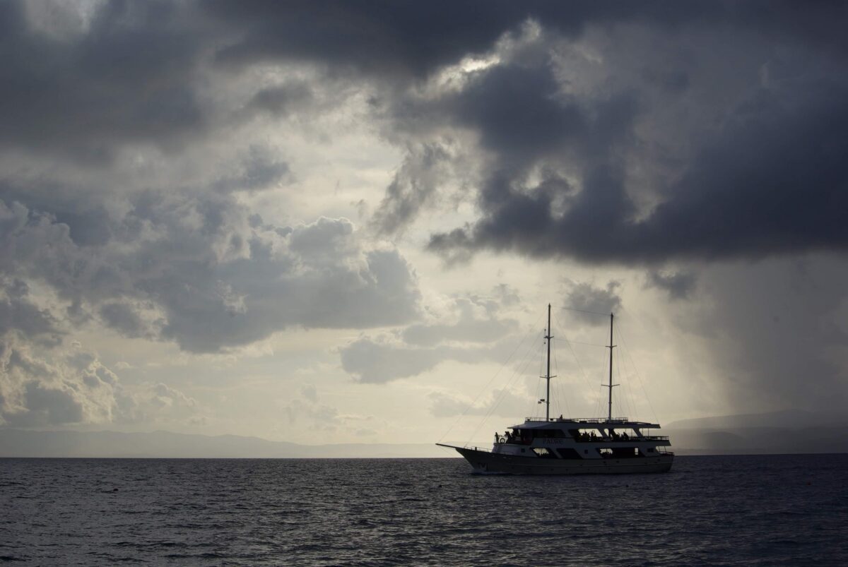 received_773580803430209