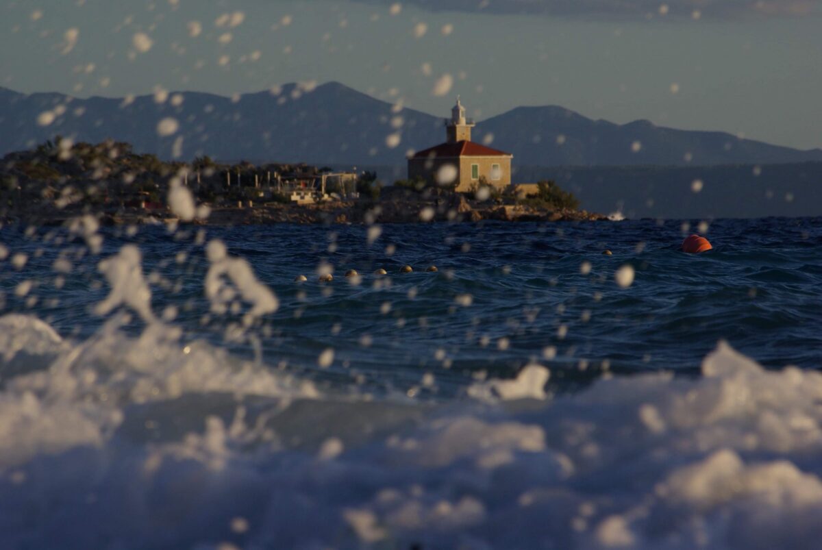 received_916397982100362