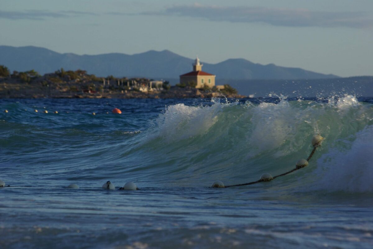 received_952235065283987