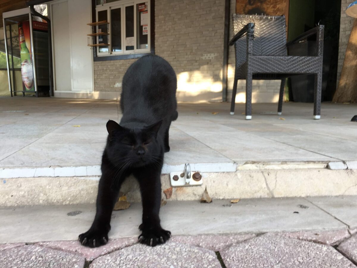 received_1227358067633588