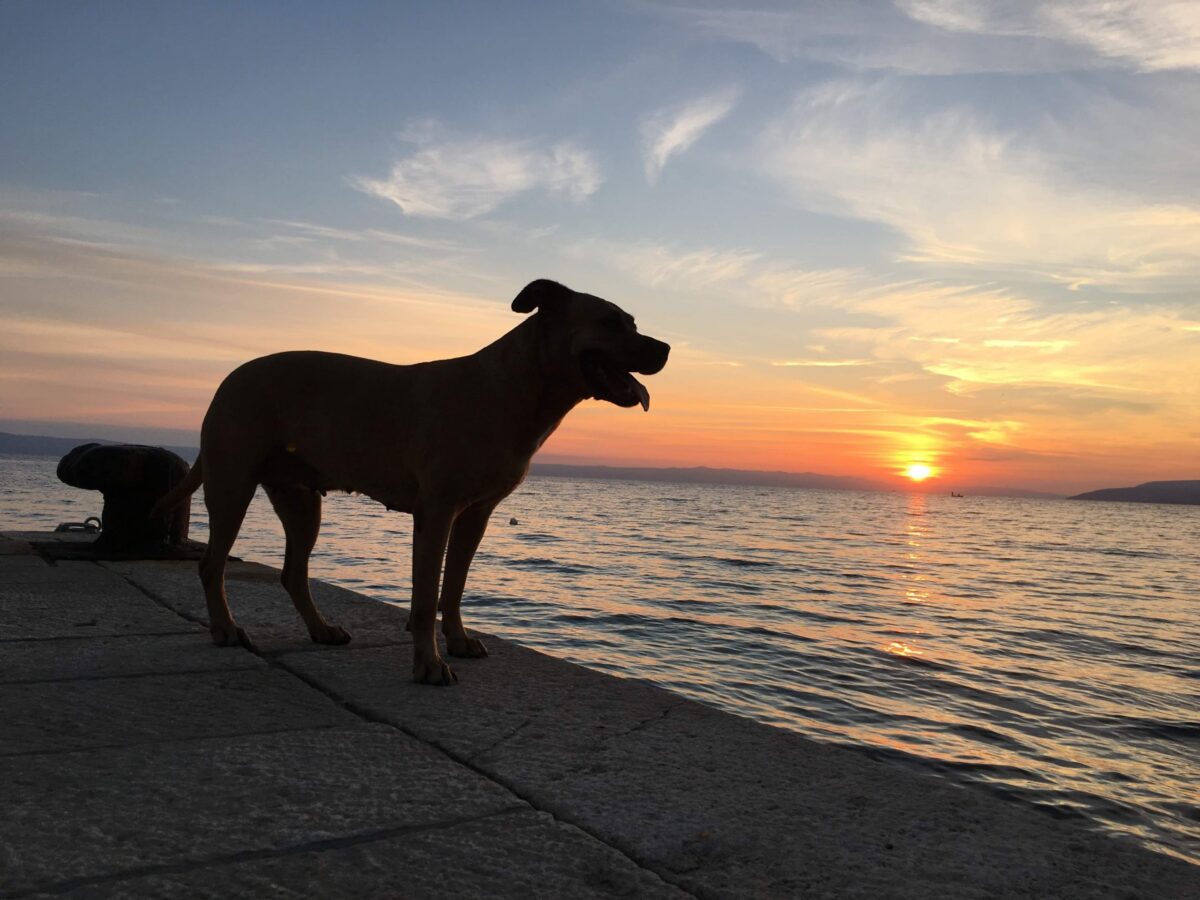 received_1570891929762104