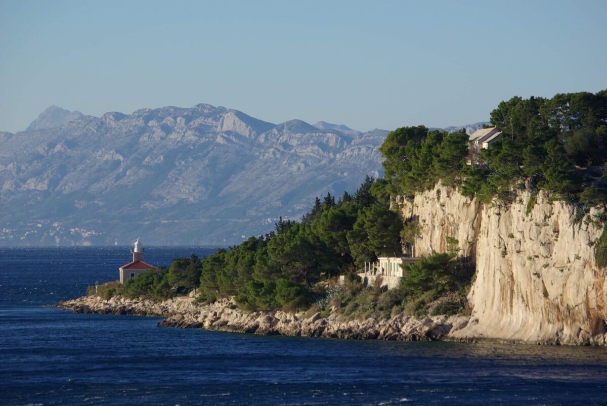 received_1659449220896620