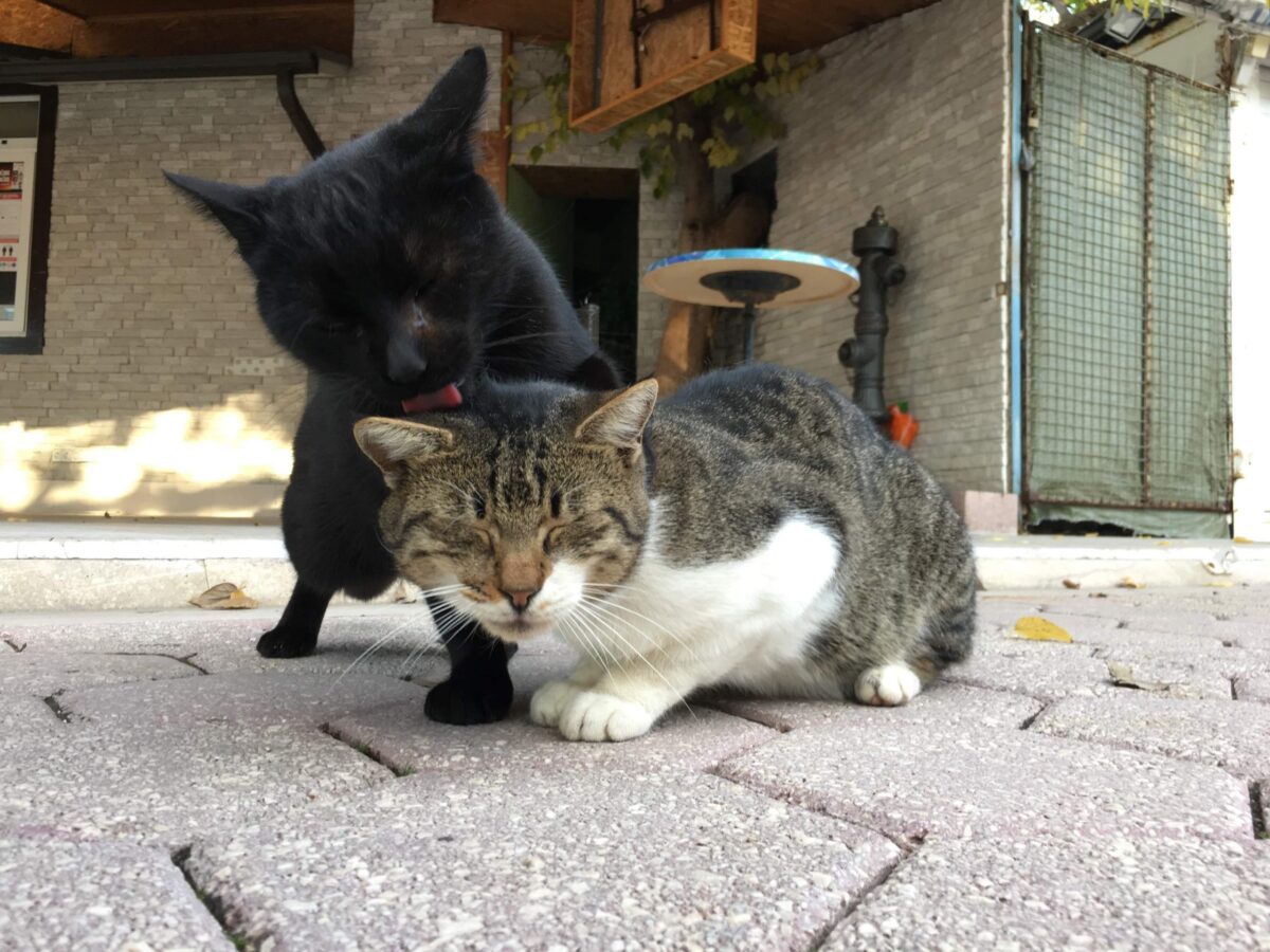 received_402655104203396