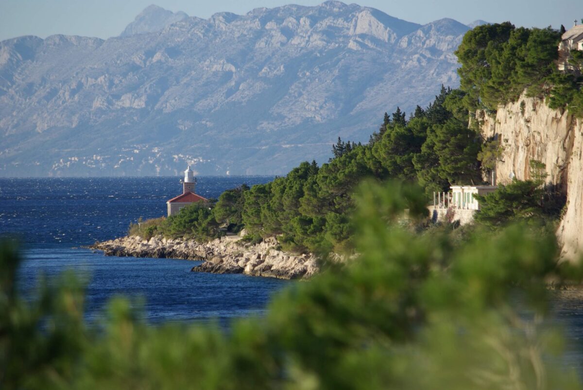 received_505046523787628