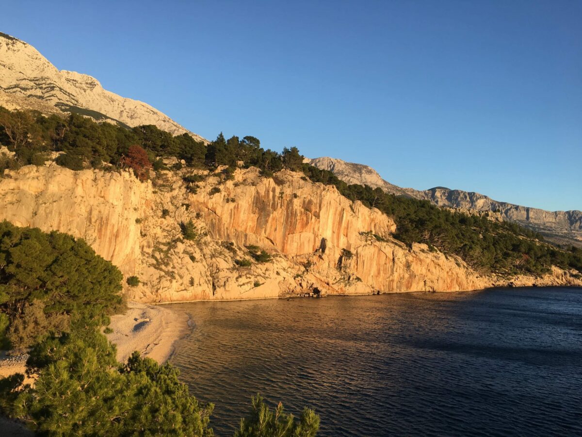 received_728685177755964