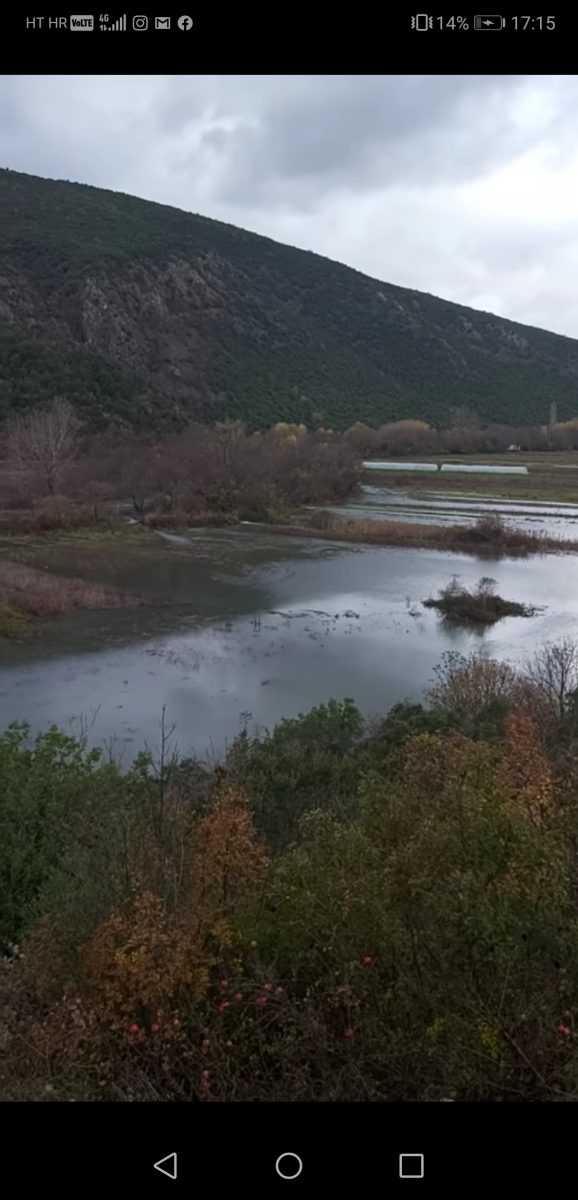 Screenshot_20201205_171553_com.facebook.katana