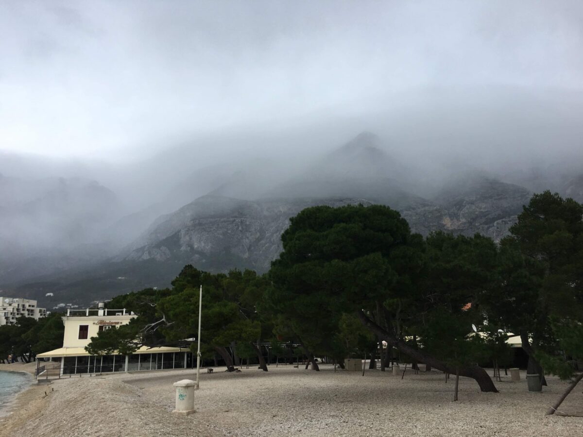 received_169157088287555