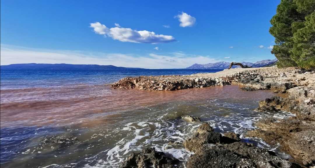 Screenshot_20210127_164457