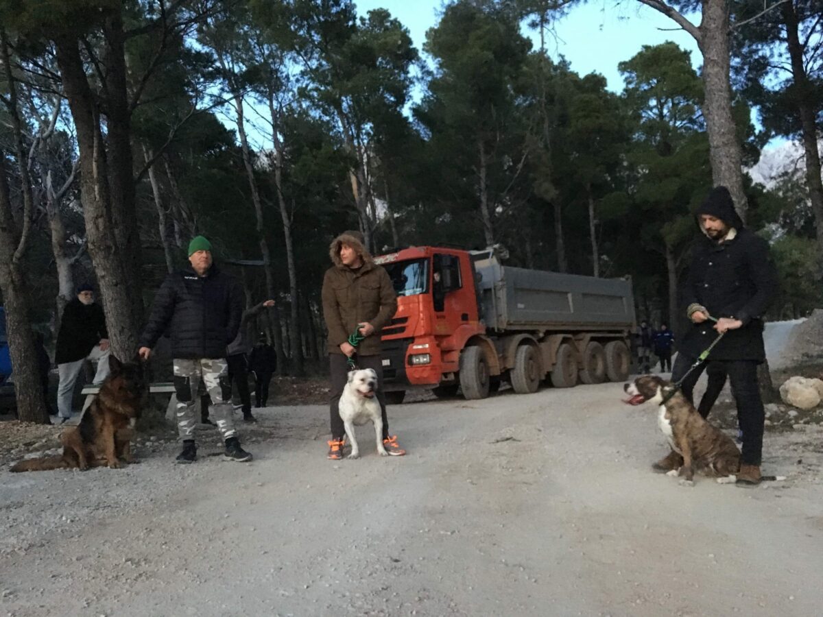 received_288007812658983