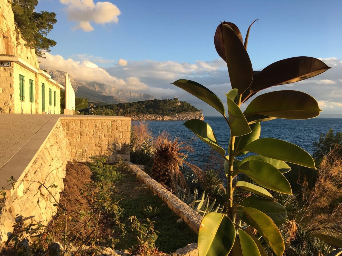 received_864230391043708