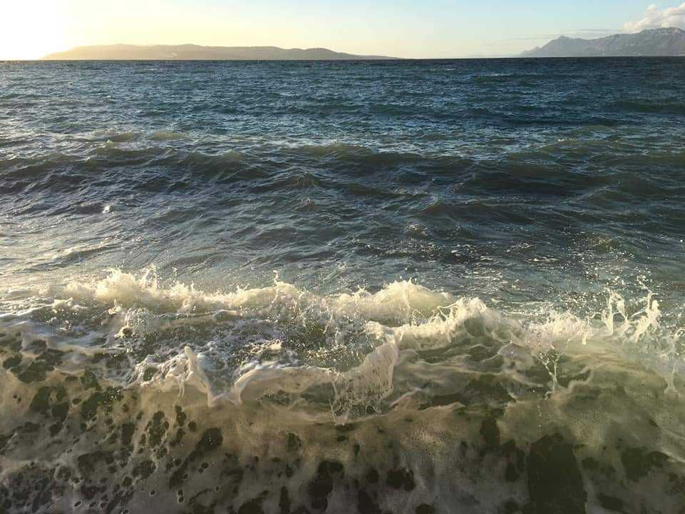 FB_IMG_1612895431226