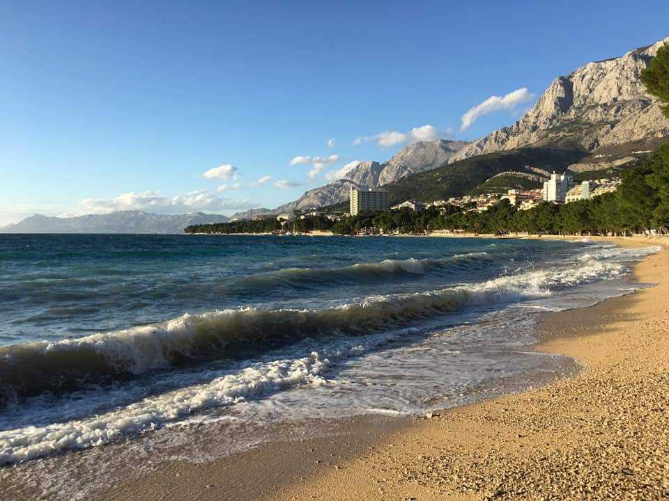 FB_IMG_1612895433951