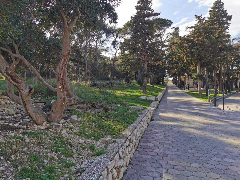 FB_IMG_1615219089657