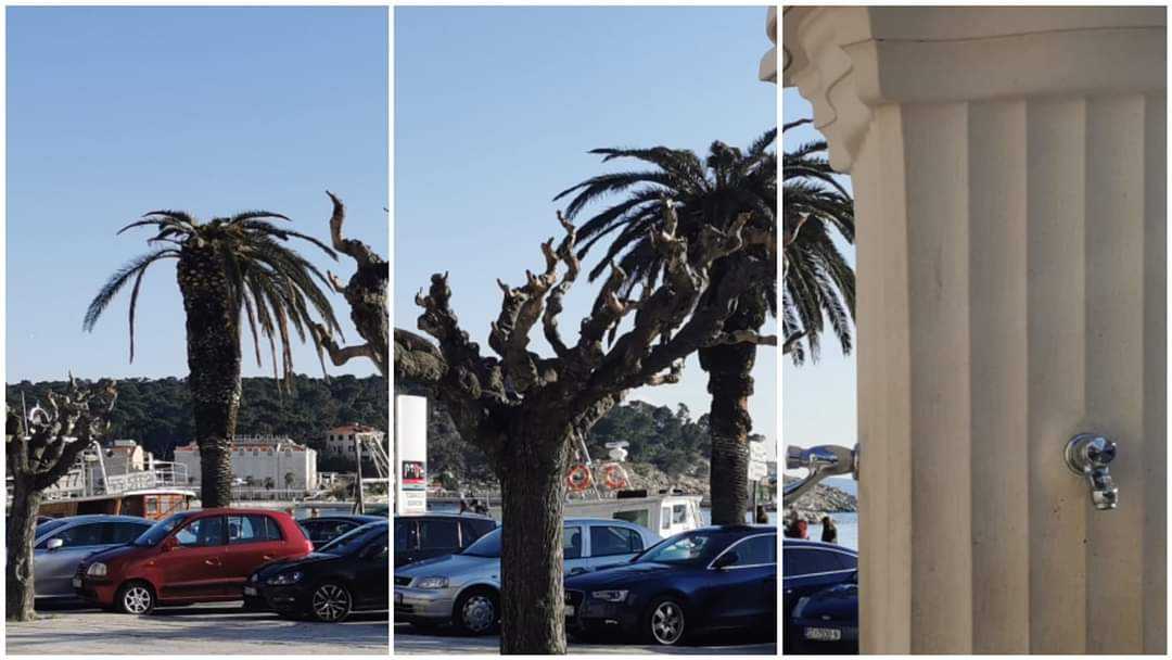 FB_IMG_1616166103094