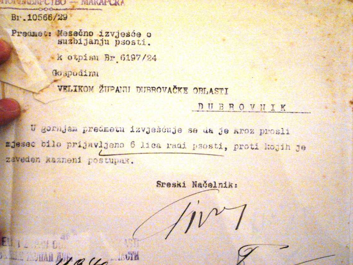 DSC01606_copy_1137x853