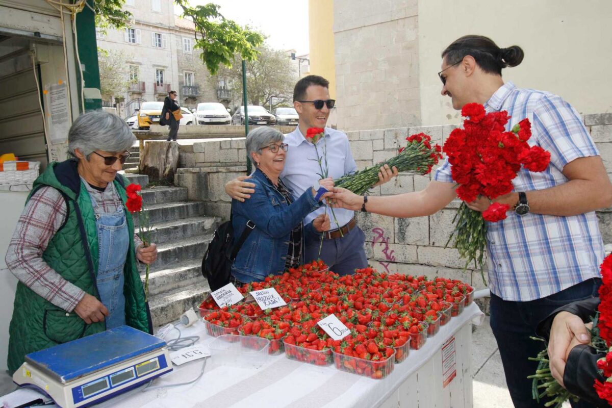 344599054_3376262785971294_5022325251074903570_n