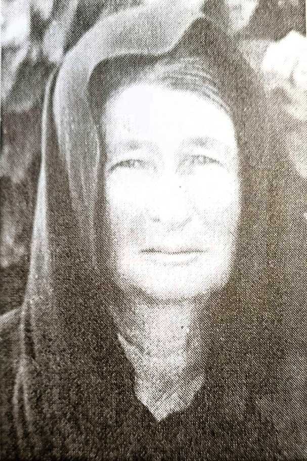 7_kamarin