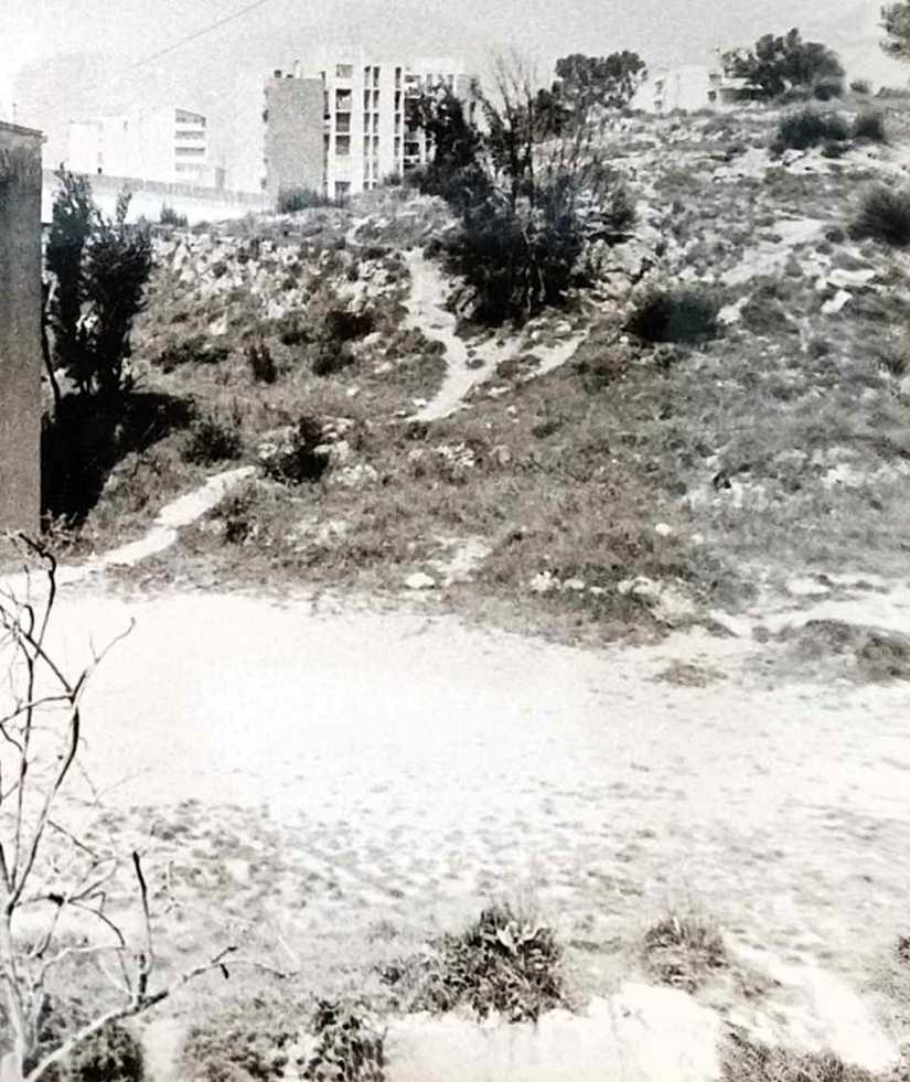 2_kamarin_5