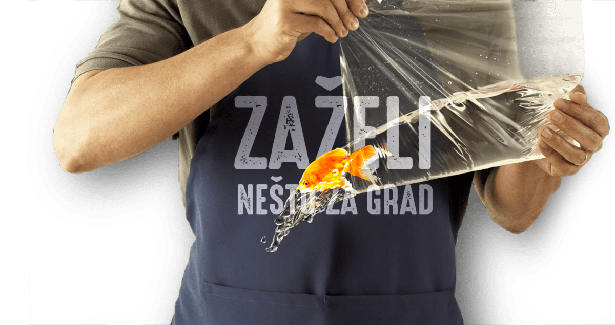 Zazeli