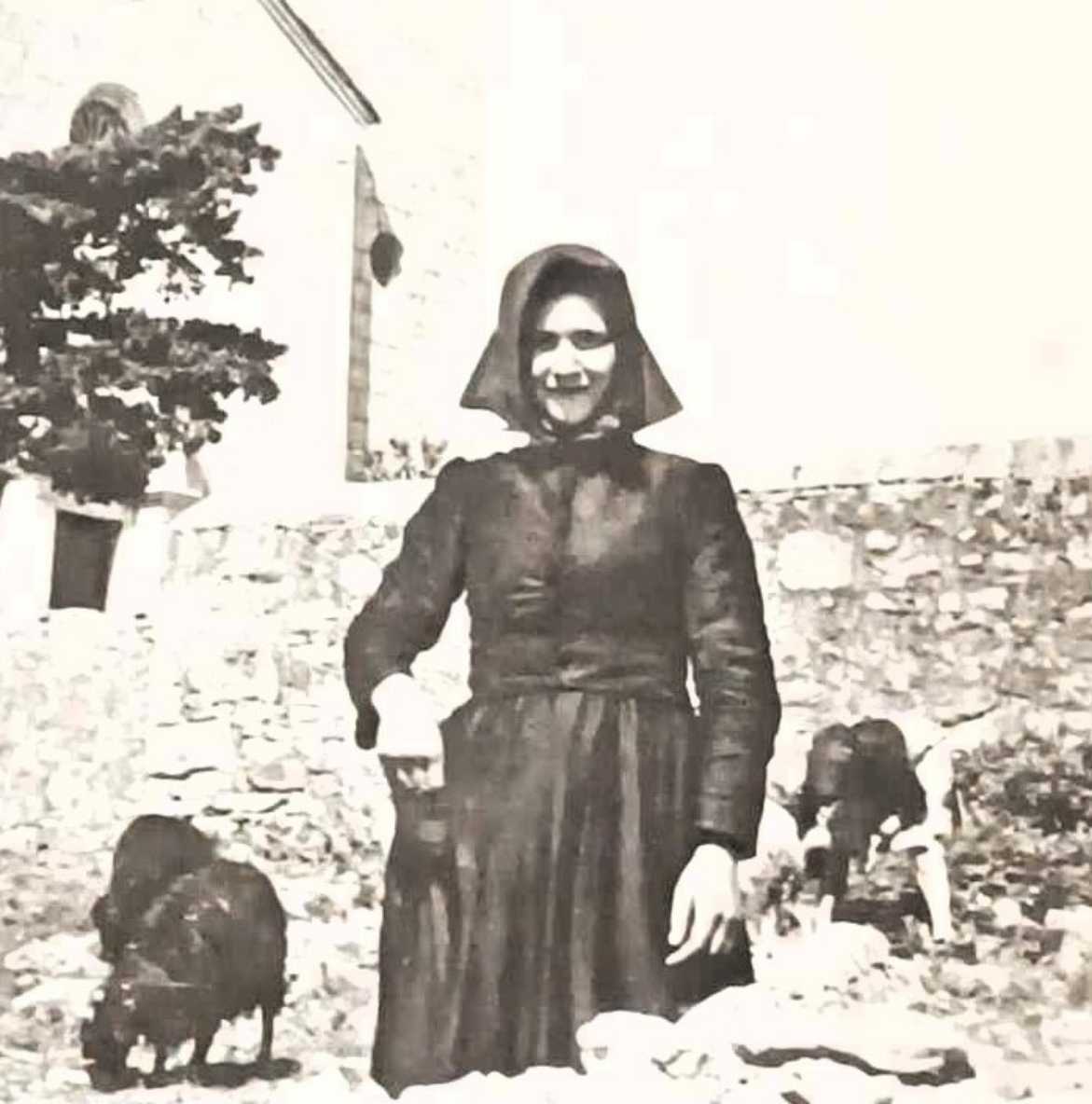 6_kamarin_3