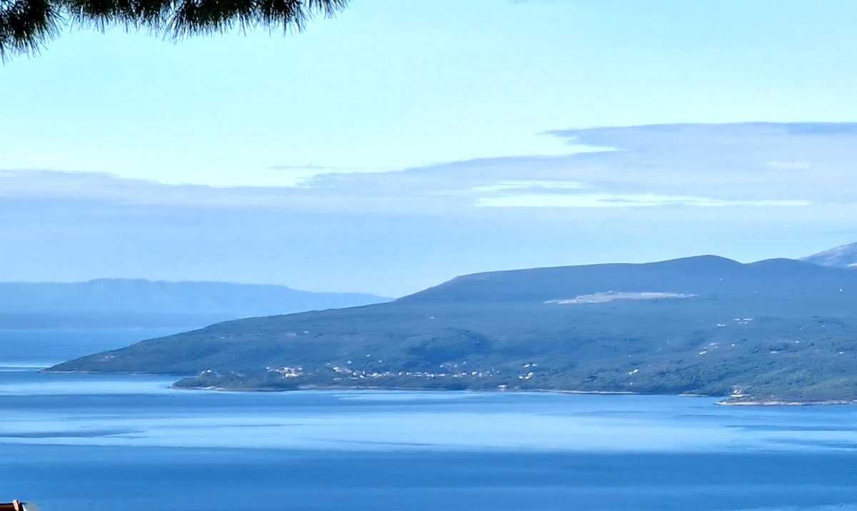 Brac foto ofranic 20231123_105636