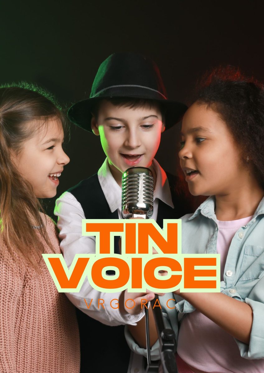 TIN VOICE_najava