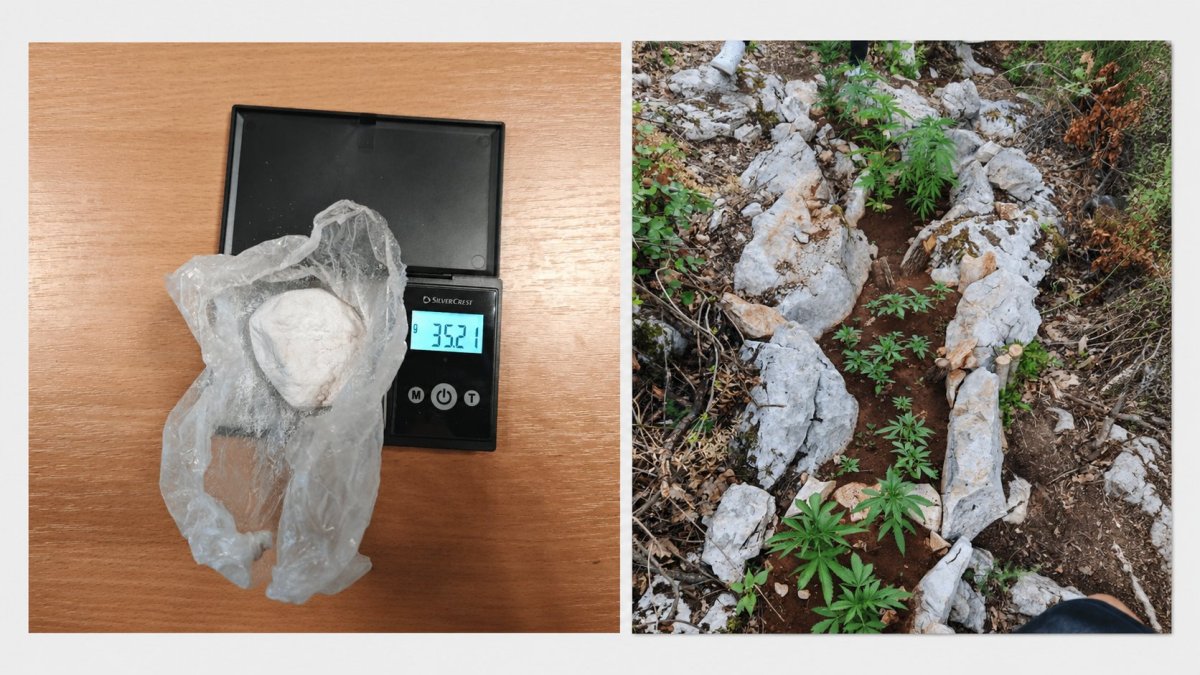 Na području Imotskog i Makarske pronađeno više vrsta droge, tri osobe kazneno prijavljene